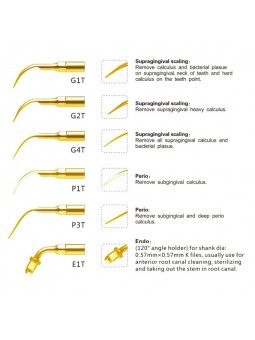 Easyinsmile ESKG EMS Woodpecker Dental scaler Tip standard Kit Silver G1T G2T G4T P1T P3T E1T