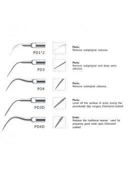 Easyinsmile SPKS SATELEC NSK Woodpecker-DTE Dental scaler Tip Scaler Perio Kit Sliver PD1 PD3 PD4 PD3D PD4D