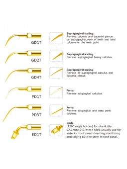 Easyinsmile SSKS SATELEC NSK Woodpecker-DTE Dental scaler Tip Scaler Standard Kit Gold GD1T GD2T GD4T PD1T PD3T ED1T