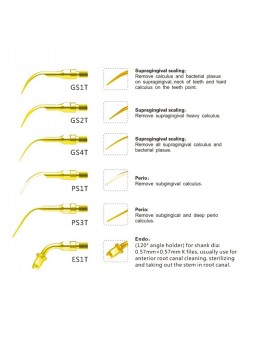 Easyinsmile SRSKG SIRONA PerioScan Dental scaler Tip Scaler Standard Kit Sliver GS1T GS2T GS4T PS1T PS3T ES1T