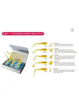 Easyinsmile WSSLK DENTAL ULTRASONIC SURGERY SINUS LIFT KIT SURGERY TIP 